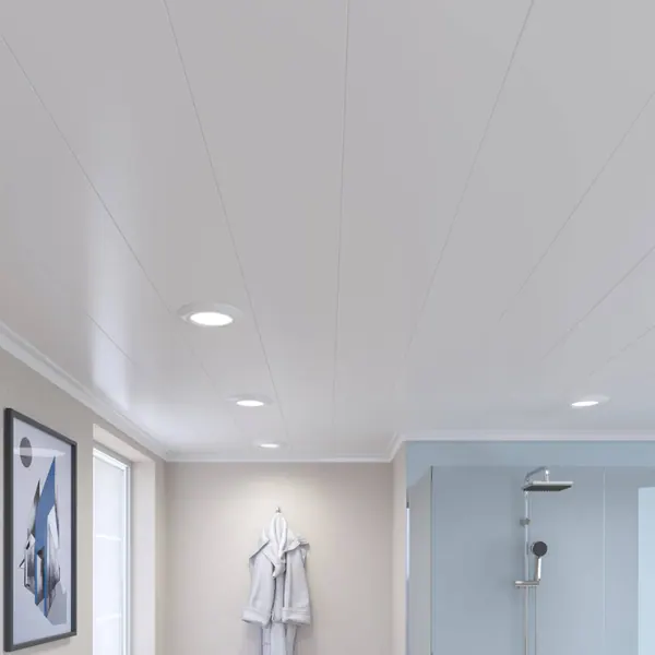 Techo Pvc 1