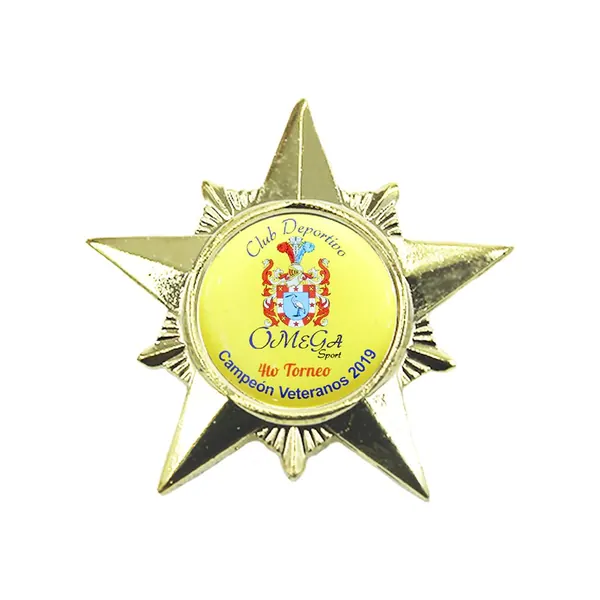 Pin de Solapa Estrella Dorada