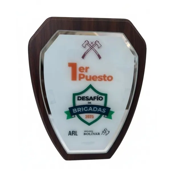 Placa de reconocimiento en madera y vidrio blanco